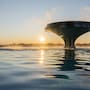 The water fountain in Tauranga's Memorial Park.