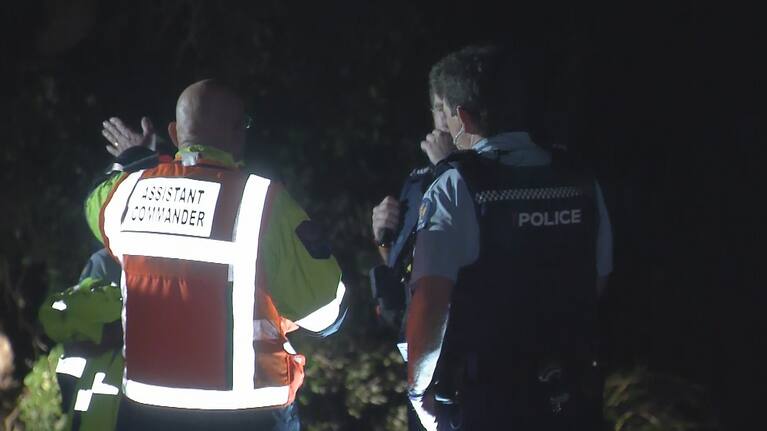 Volunteers from Coastguard Titirangi and Coastguard Papakura conducted a water search while Police and Fire and Emergency NZ staff carried out a shoreline search.