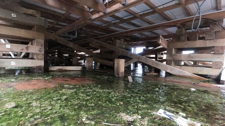 Water has swamped the ground beneath Joan Blair's Rotoehu home.