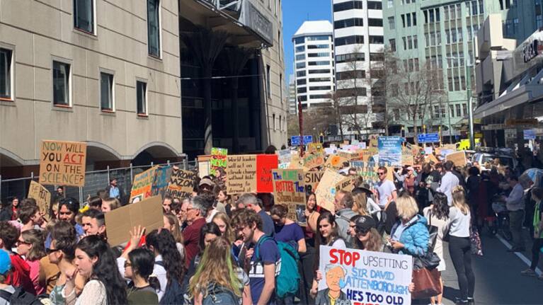 Climate change protestors in Wellington (file picture).