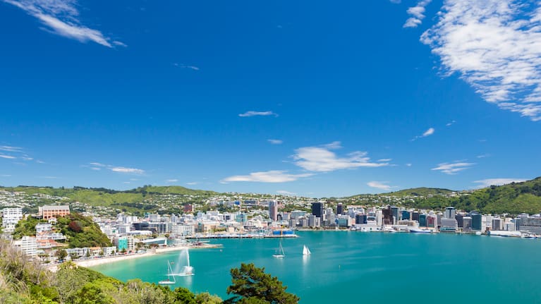 Wellington (file picture).