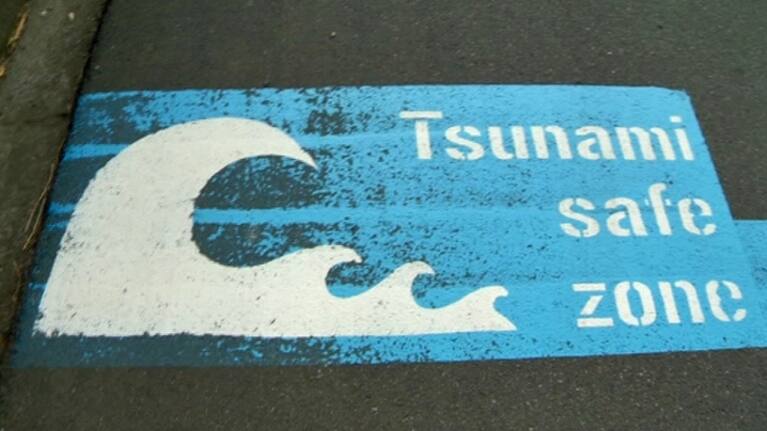 A sign on the road in Wellington the indicates a Tsunami safe zone.