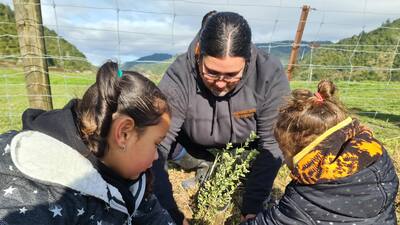 Whānau in Rūātoki planting trees to mark the first Matariki holiday
