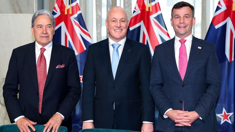 All three coalition partners said they would repeal the changes Labour made to Māori wards