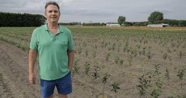 Orchardists reject Luxon’s claim sector is ‘crying out’ for workers